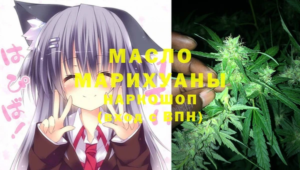 шишки Дмитров