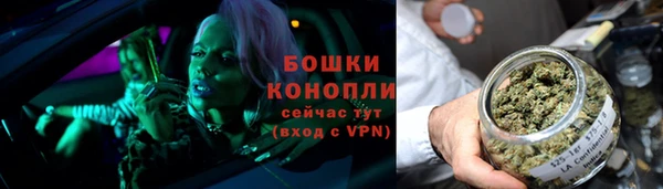 шишки Дмитров