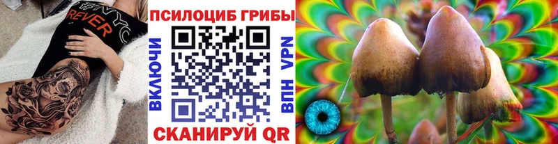 Галлюциногенные грибы Cubensis  Купить закладки  Инза 